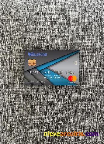 USA California BlueVine bank mastercard photolook